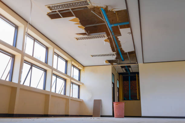 Best Fire Damage Restoration  in Pine Prairie, LA