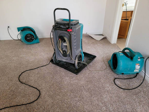 Best Professional water damage repair  in Pine Prairie, LA