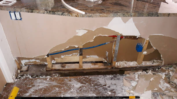 Best Water damage contractors near me  in Pine Prairie, LA