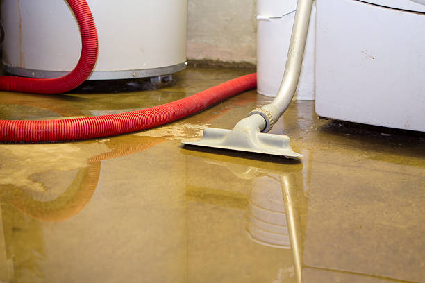 Best Fire Damage Restoration  in Pine Prairie, LA
