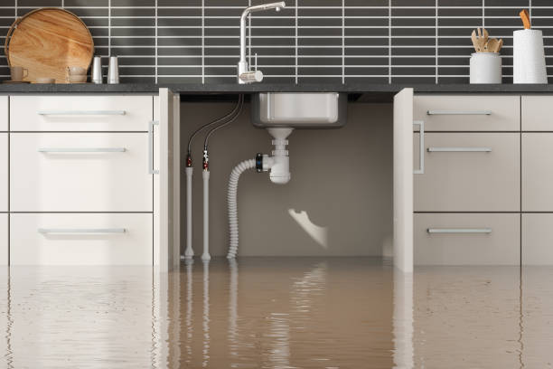 Best Water damage restoration near me  in Pine Prairie, LA