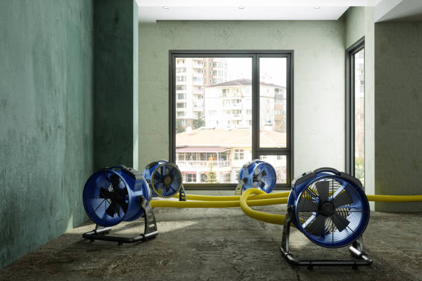 Best Ceiling water damage repair  in Pine Prairie, LA