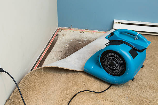  Pine Prairie, LA Water damage restoration Pros