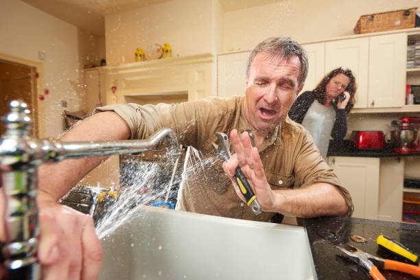 Best Mold removal after water damage  in Pine Prairie, LA